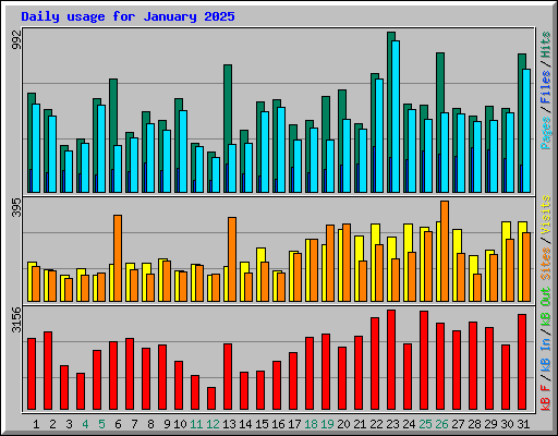 Daily usage for January 2025