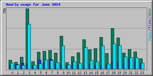 Hourly usage for June 2024