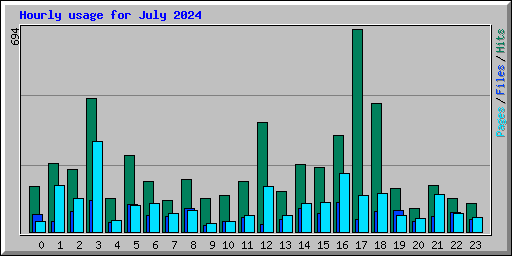 Hourly usage for July 2024