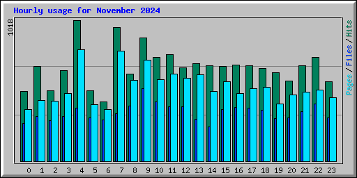 Hourly usage for November 2024