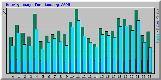 Hourly usage for January 2025