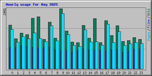 Hourly usage for May 2025