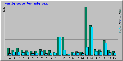 Hourly usage for July 2025