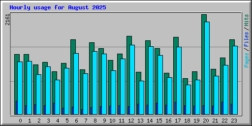Hourly usage for August 2025