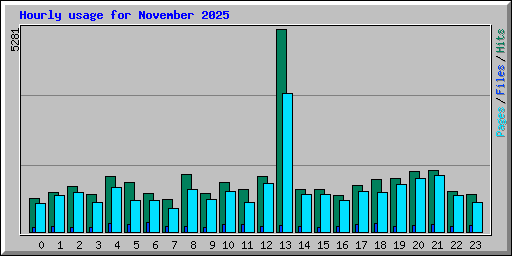 Hourly usage for November 2025