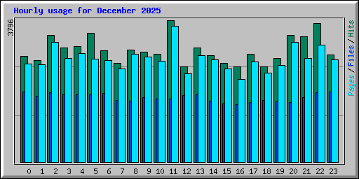 Hourly usage for December 2025