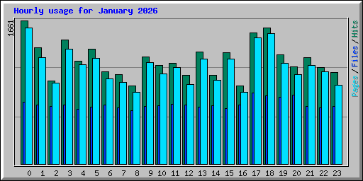 Hourly usage for January 2026