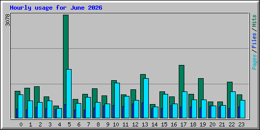 Hourly usage for June 2026