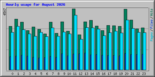 Hourly usage for August 2026