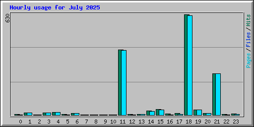 Hourly usage for July 2025