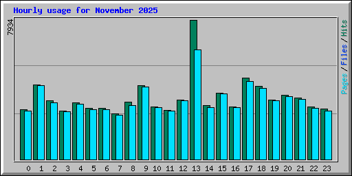 Hourly usage for November 2025
