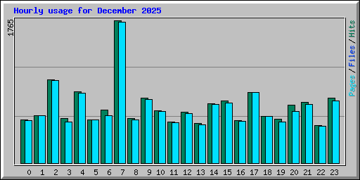Hourly usage for December 2025