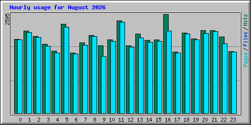 Hourly usage for August 2026